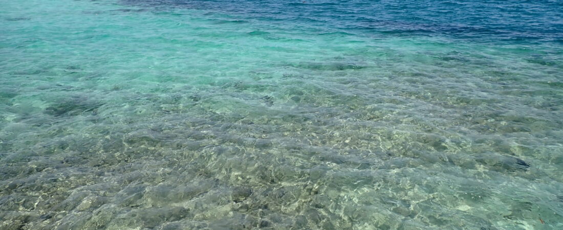 Color of Microalgae
